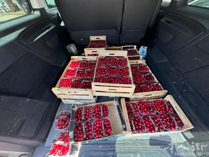 全意大利供应中国店Vignola 樱桃王🍒🍒🍒  10公斤10块/kg 2