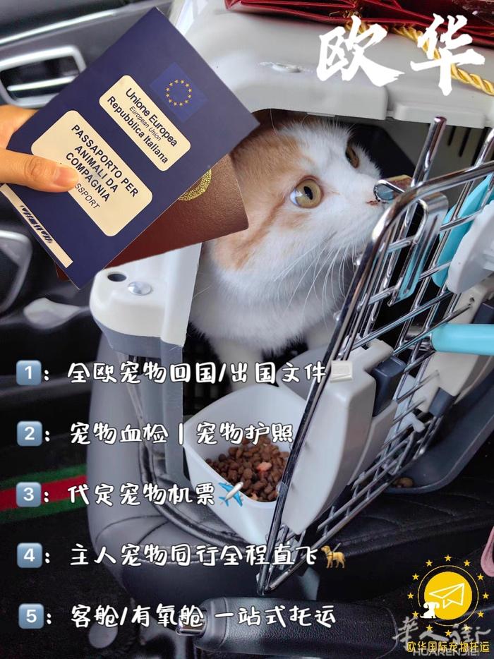 欧华国际宠物托运✈️专业宠物运输 1️⃣：全欧宠物回国/出国文件📃 2️⃣：宠