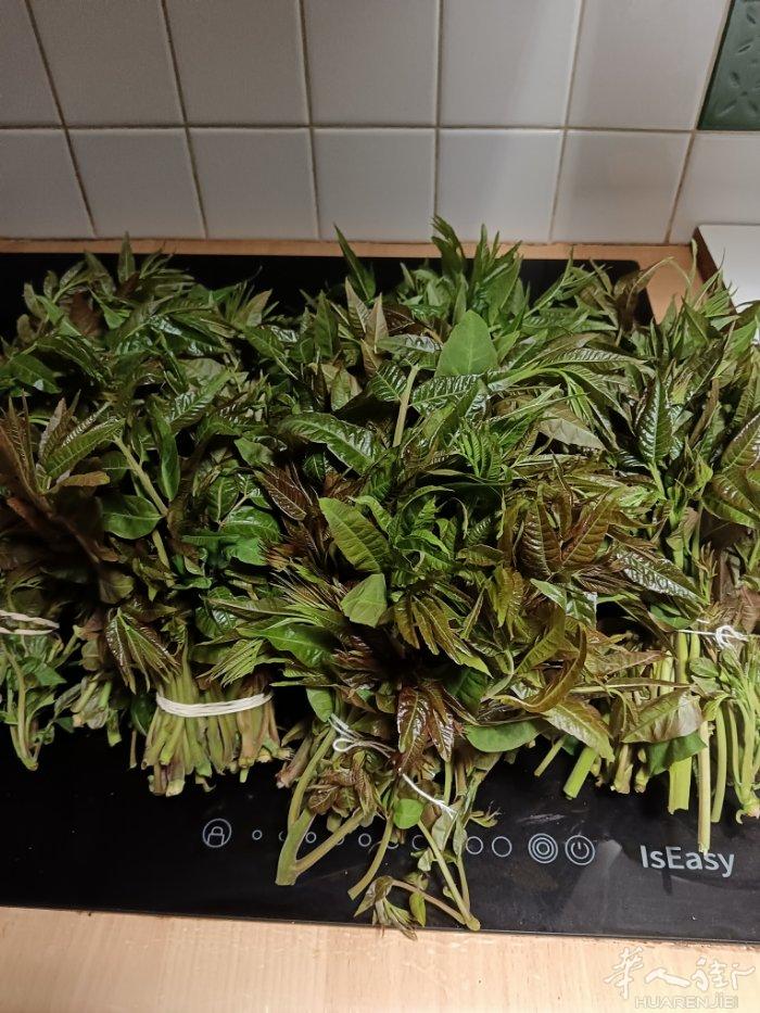 香椿芽！嘎嘎好吃的香椿芽！数量不多，新鲜的，腌好的都有，有买的赶紧来啊！！！🤗