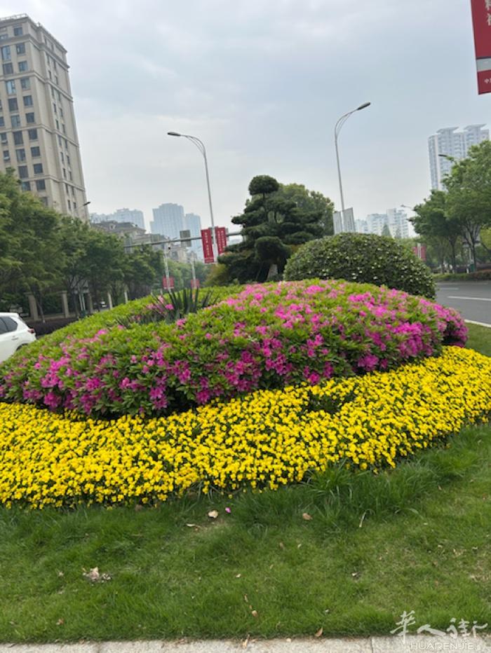 近afori 有房间出租、500全包、门口有40 41 35 路公交车、交通便利