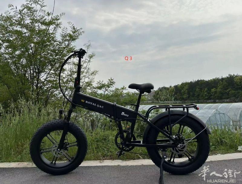 全新的电动自行车和电动滑板车，批发和零售,米兰唐人街3342246948