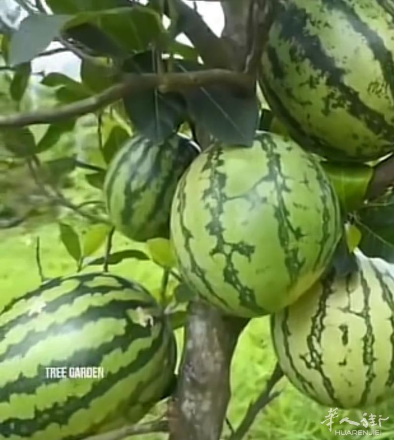招聘专业木匠泥水小工学徒工……