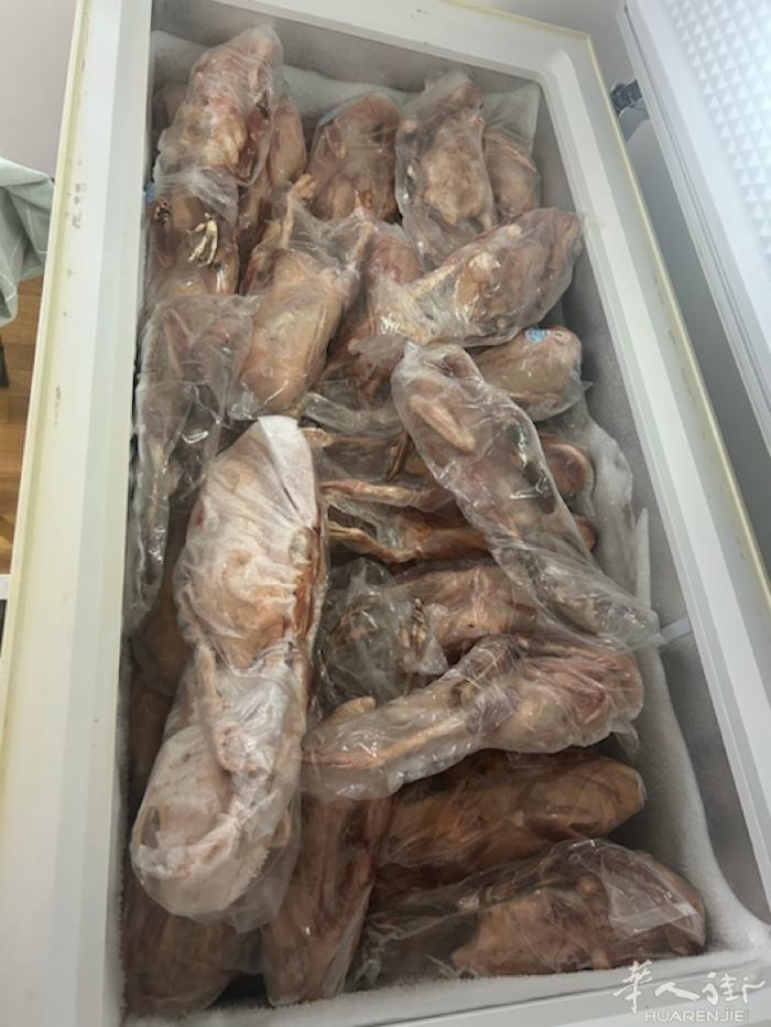 熟食店倒闭，现有四个冰柜的老麻鸭和嫩鹅，半买半送，适合做麻油鸭和熏鹅的原材料。罗