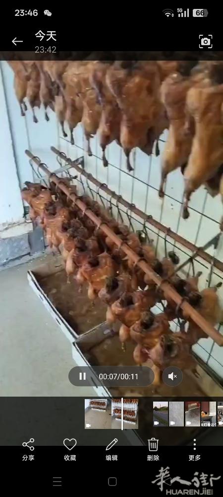 专业烤鸭，北京风味！