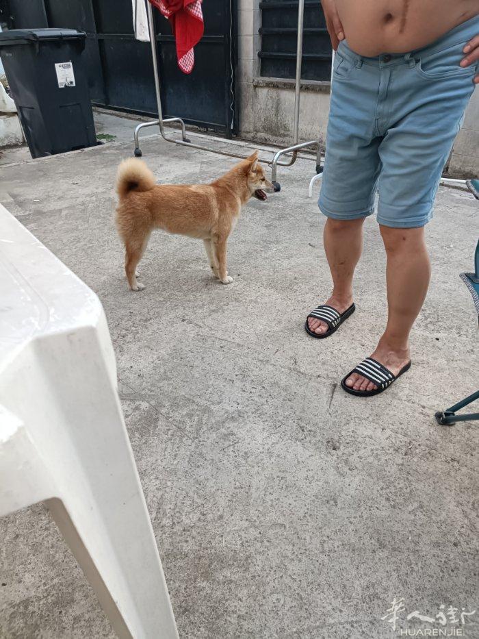 出售