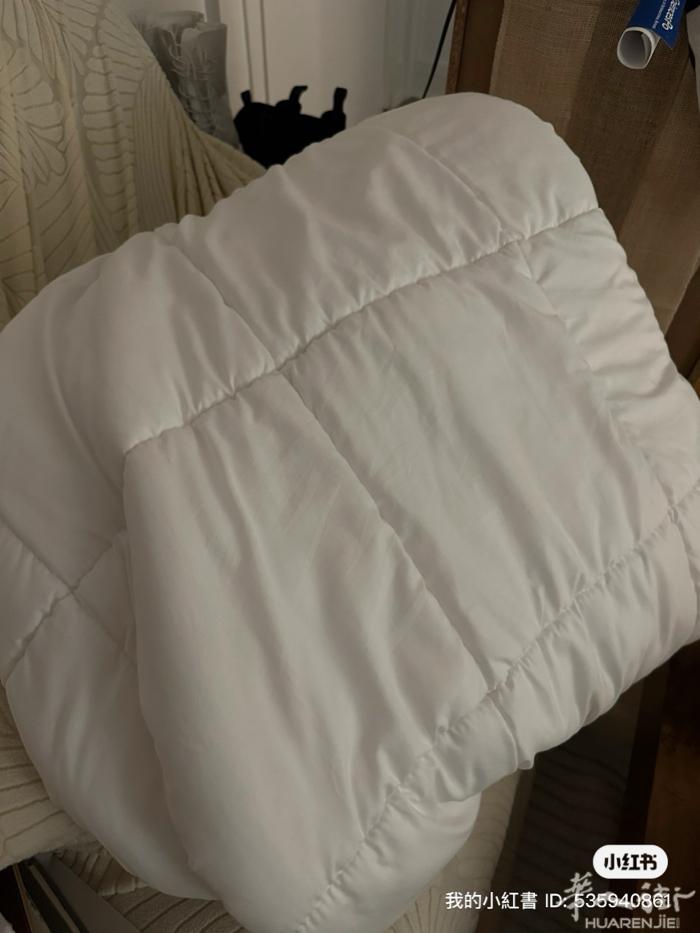 2m*2m被芯 8欧 基本全新 送枕头65*65cm