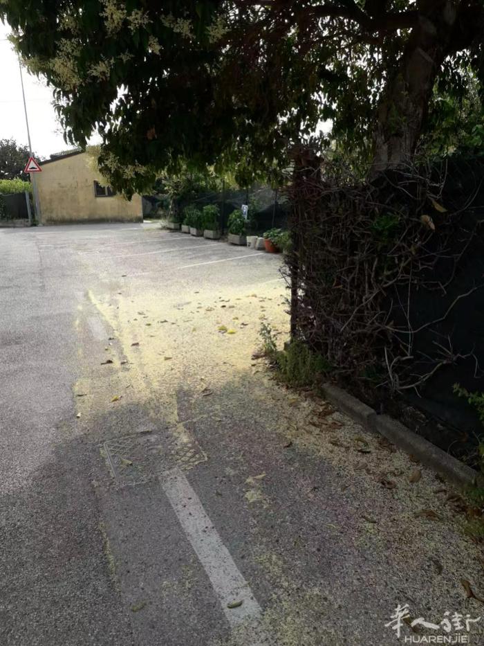 Bassano del grappa 出售商业店铺  私人电话☎️：+39 33