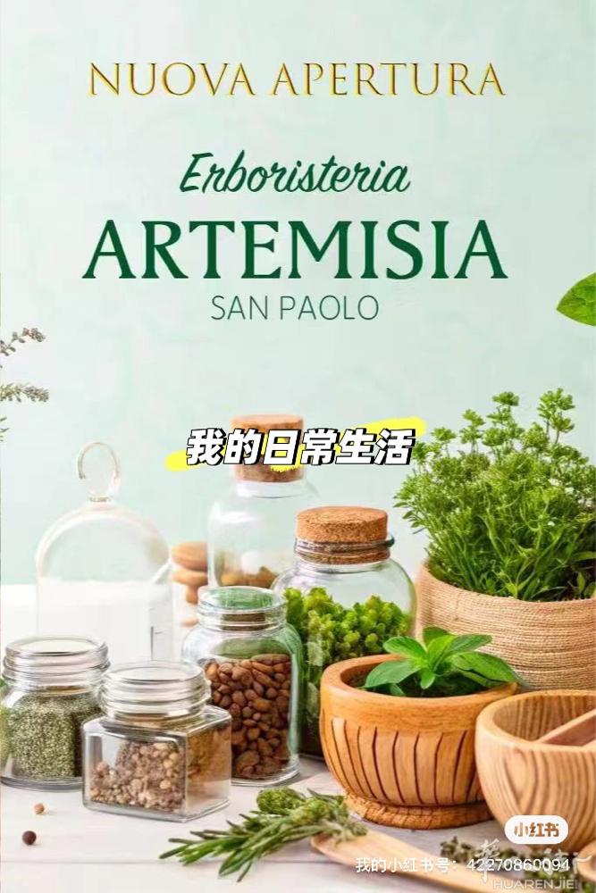 ARTEMISIA盛大开业｜6月27日星期五 上午10:30  我们怀着无比激动