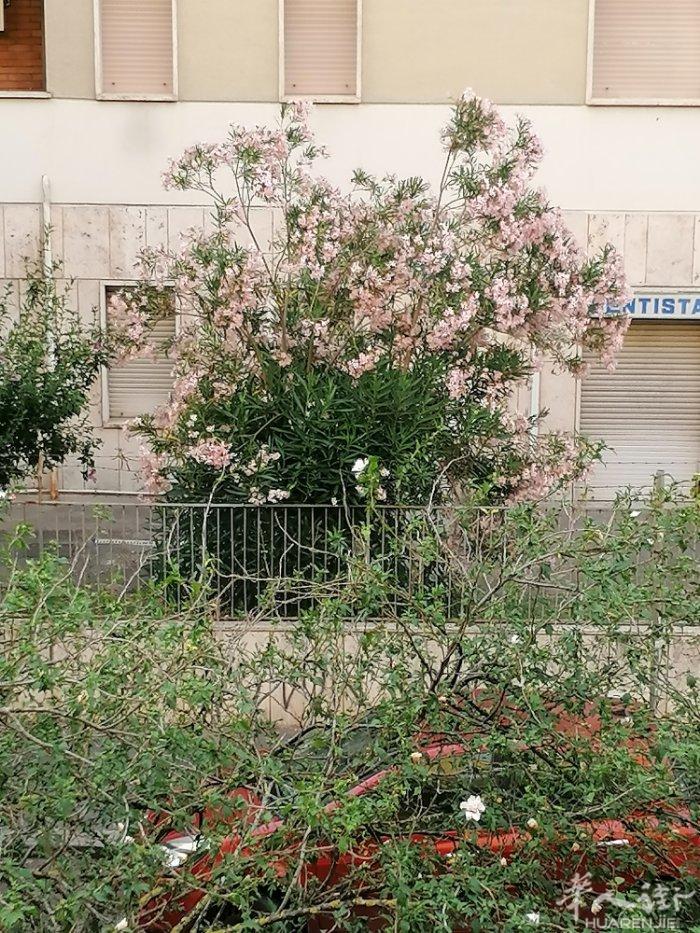 罗马A线地铁口Subaugusta 地铁口2分钟 ， 出租：大单间和小单间，带阳