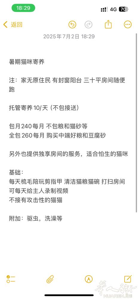 暑期猫猫寄养