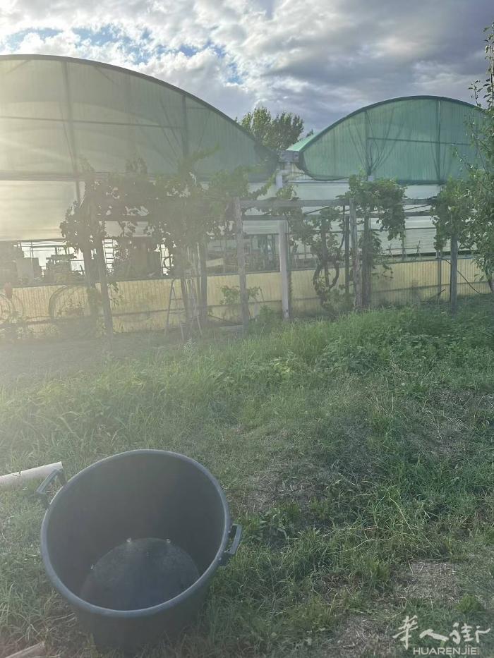 Campi bisenzio  4100平方 农用地转让[咖啡][咖啡][咖啡]