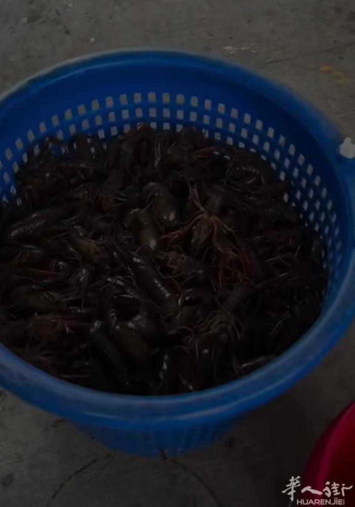 坐标十三区预定礼拜五的小龙虾🦞啦……