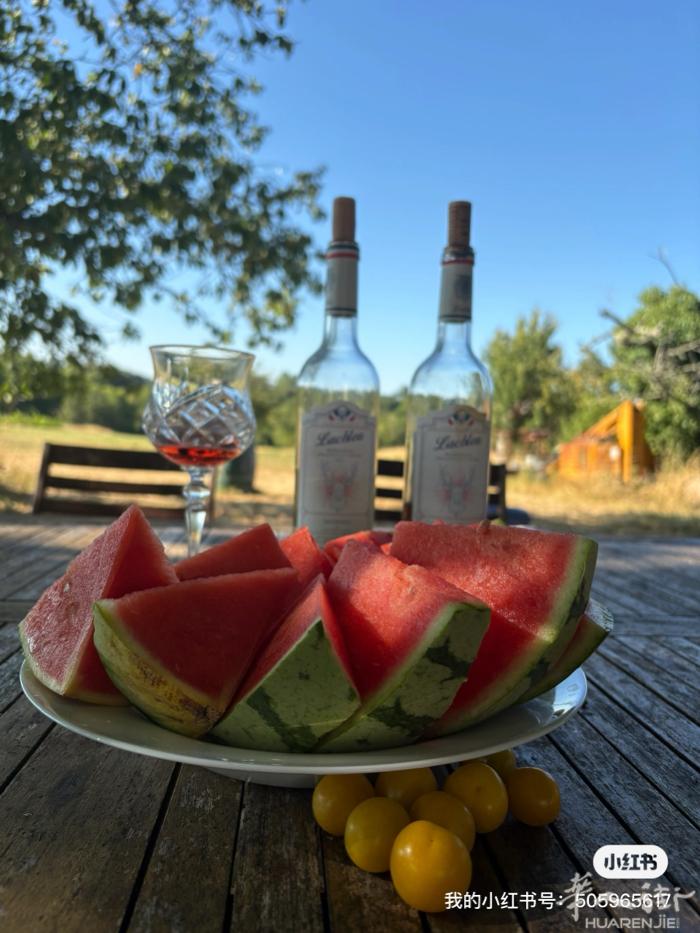 大夏天每天啃瓜，喝冰桃红，干白很快乐～🍉😁🍉 朋友们约城堡度假啦～⛱️⛱️
