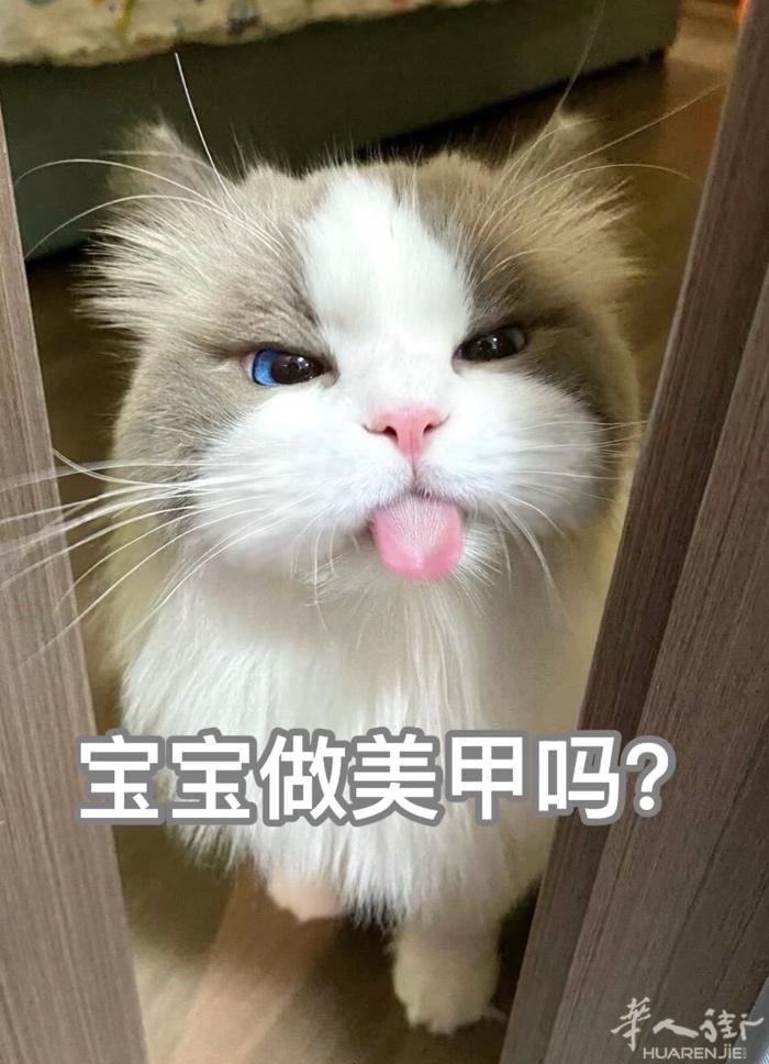 米兰代班美甲师傅｜七八月份可代班