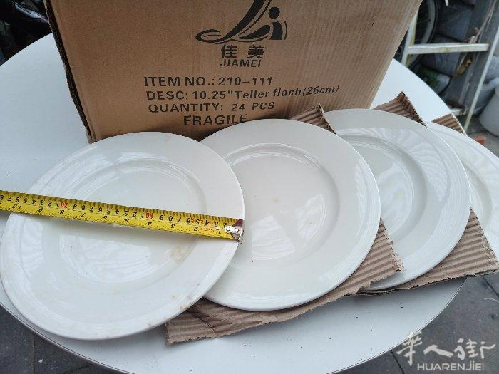 全新纯白（佳美)强化磁园盘，直径26cm，单价1.6€