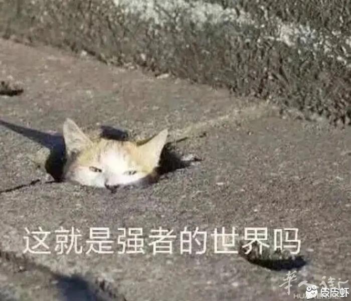 firenze周边求租美甲证一本，详情加wx ychcjm520 细谈