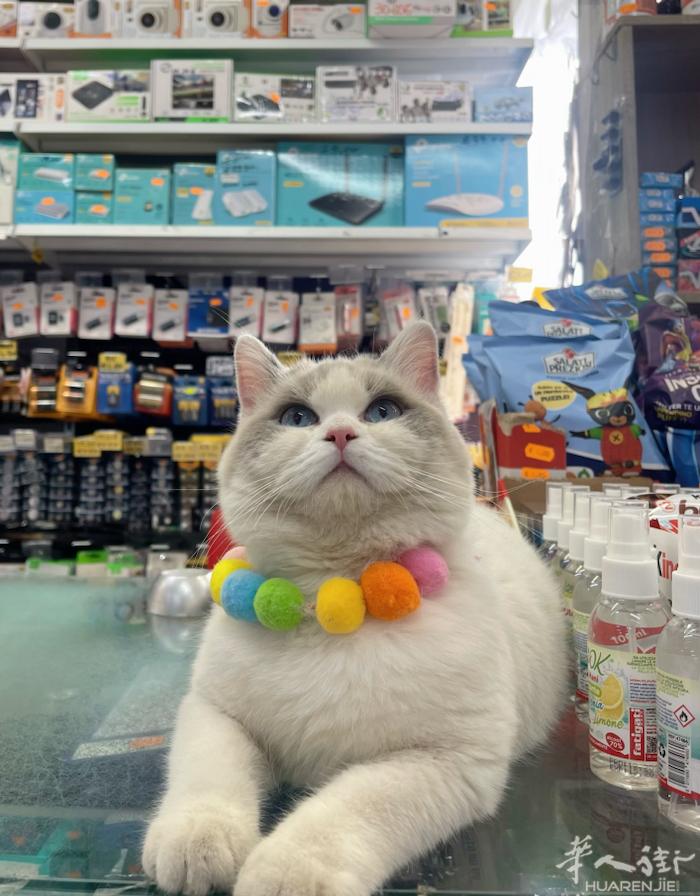 Napoli周边招店员高工资 ➕13个月工资 三包
