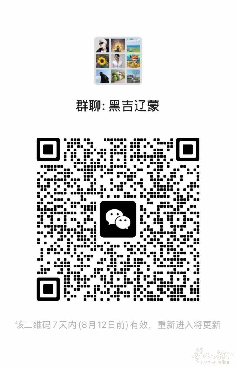 东北人自己的裙，扫码进