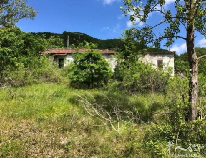 【拍卖房】Valmozzola, Parma 出售独立住宅  约 200 平方米