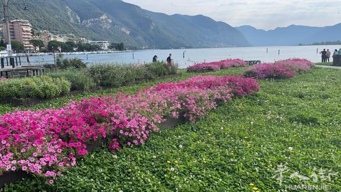 本人在Brescia有住家可以登身份证 和暂住证 有需要的请联系我