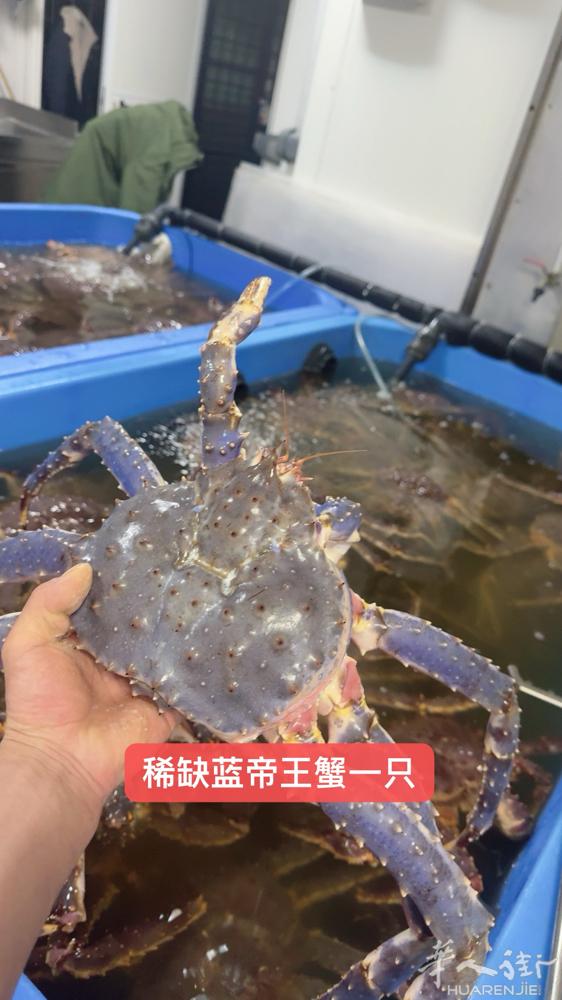 出出售海鲜帝王蟹真龙虾3778867528