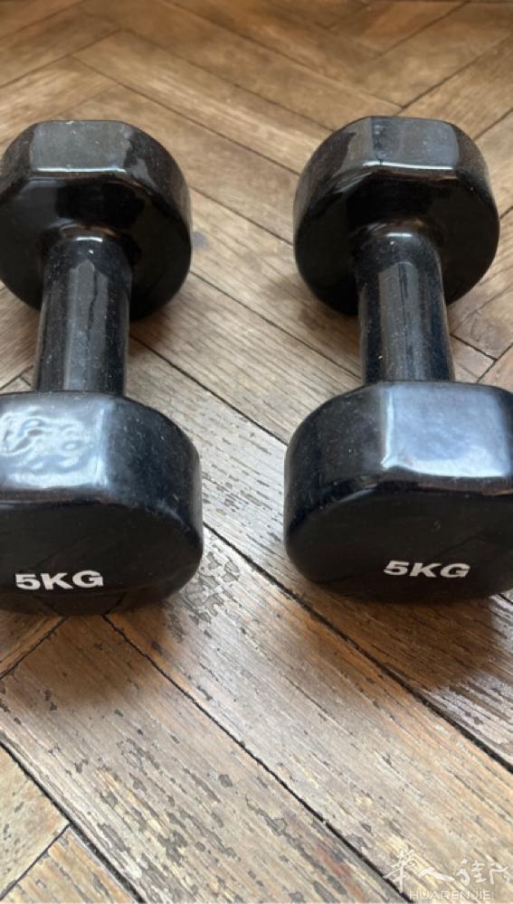 出一对哑铃，10kg，英国公司买的，皮层包橡胶，基本没用过，就是有点灰尘，原价3