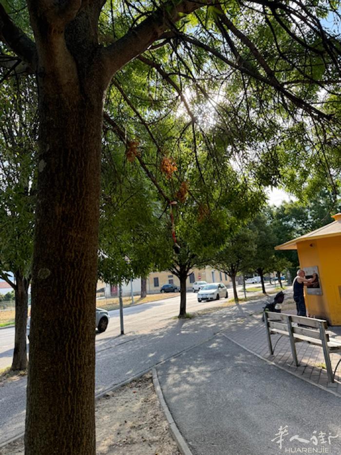 PRATO sanpaolo打水公园旁边树上挂着一串钥匙🔑失主去这里找哦