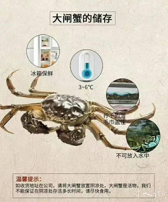 星期五有活的野生大闸蟹到，批发零售都可以，星期三结单 一.10公斤起大小公母混合