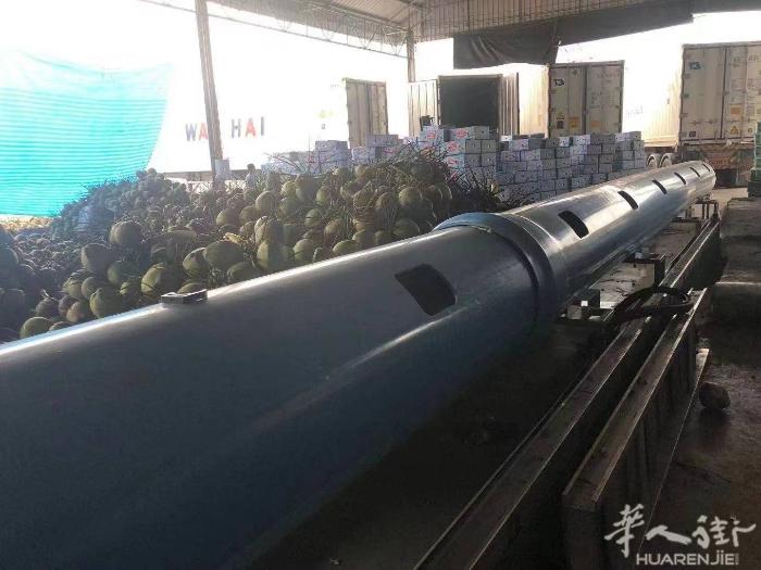 泰国名牌椰子工厂 有椰子园 批发  一柜起批  vx    chenjuyan2