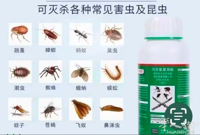 室内爬虫，及地上爬的万能型蟑螂蚂蚁各种臭虫药，6包12€10包15€15包20€
