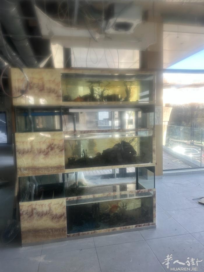 金鱼缸、桌椅沙发有人需要吗？沙发，橙子