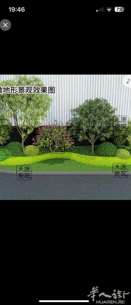 园林绿化庄园花园景观专业绿化团队修剪打草栽花苗木苗木种植，有需要的老板价格合理，