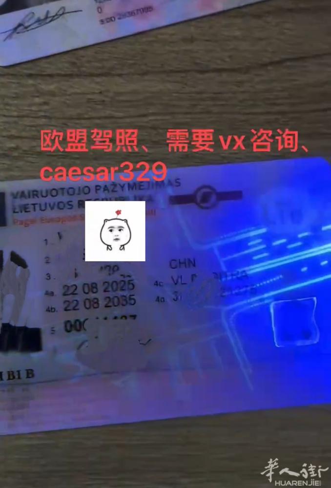 欧盟驾照，国际IDP，解决在欧洲驾驶疑难杂症