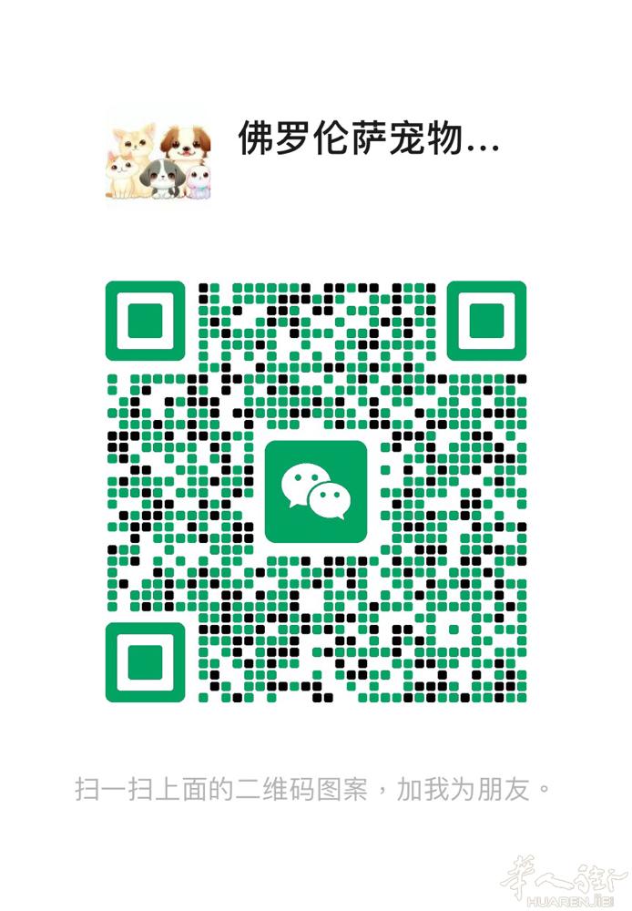 佛罗伦萨宠物专职寄养，多年猫舍、犬舍经验，原在米兰也是专职寄养，对于宝贝有更多的