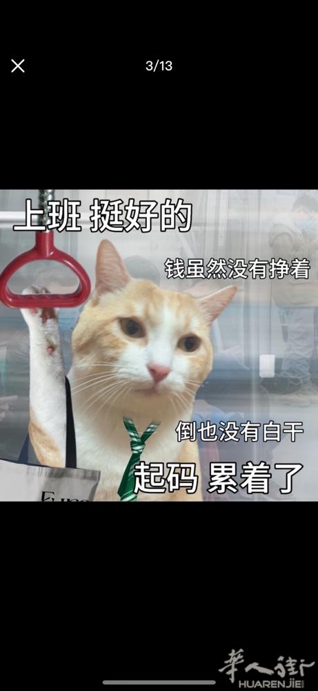 montecatini城市点餐餐厅诚聘长期跑堂一名 要求会语言 待遇优 有意者请