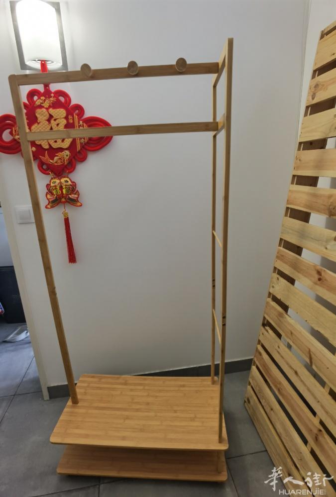 搬家出衣帽架15欧，九新，送衣架