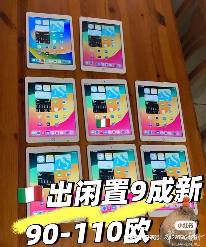 出二手闲置 8/9成新ipad 60-110欧 128GB mestre可以自取