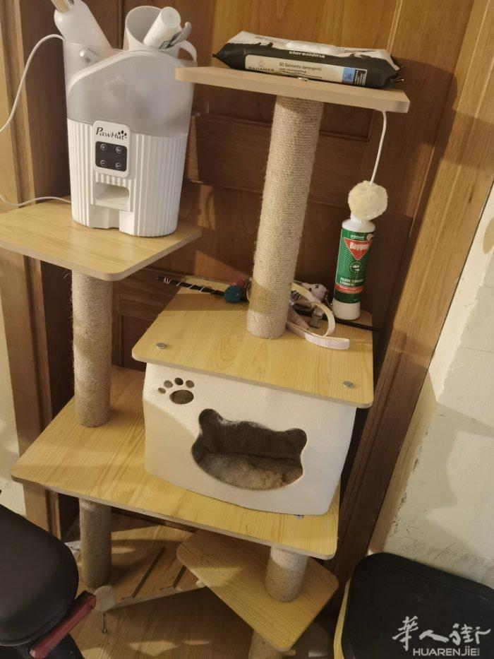 便宜出高级全新木质猫爬架和宠物自动喂食器；因为猫猫不慎走丢；Prato面交!微信