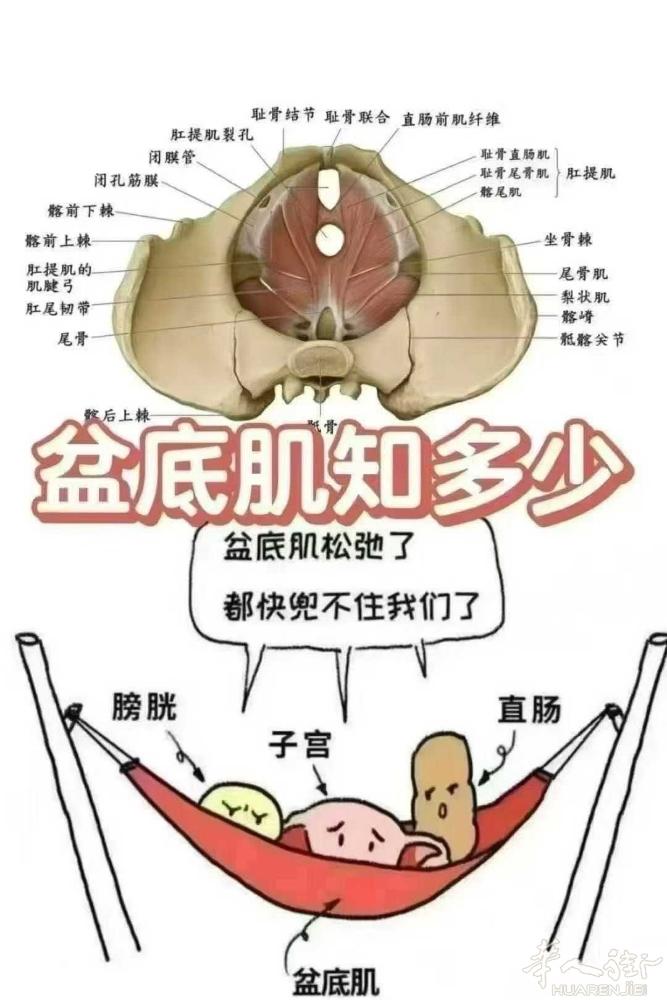 💖#泰式徒手私密 剖腹产真的能避免盆底肌松弛吗？ 答案是：不可能！ 经过十个月