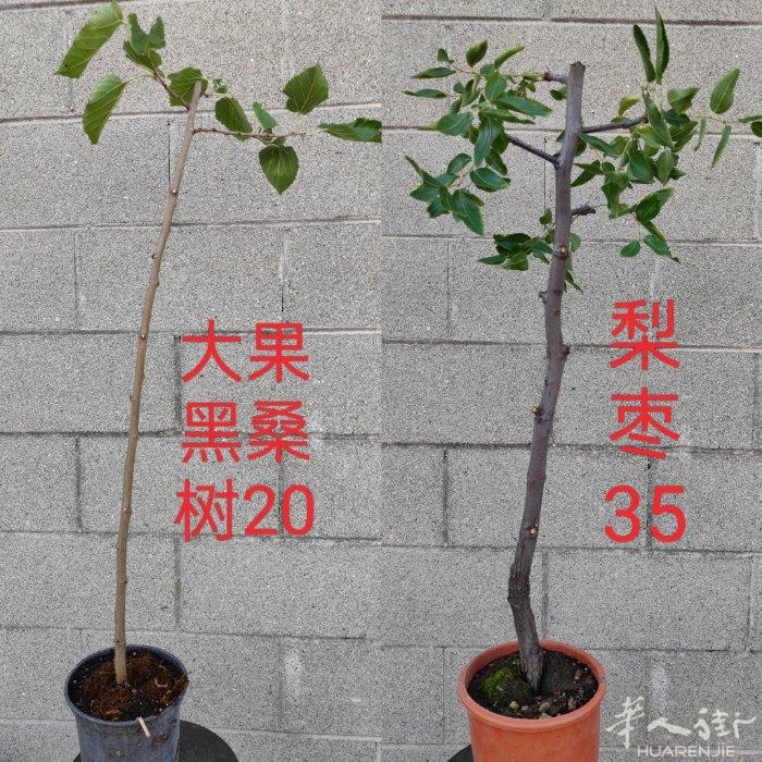 因场地问题处理