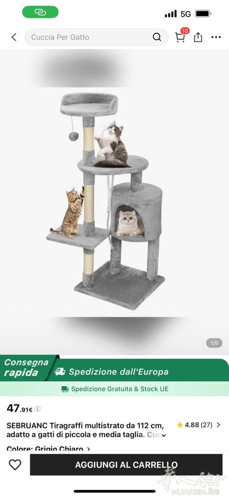 猫友们 买了一个猫爬架，给我们家猫咪太小了，😂😂 9.9新 .35欧出了￼￼