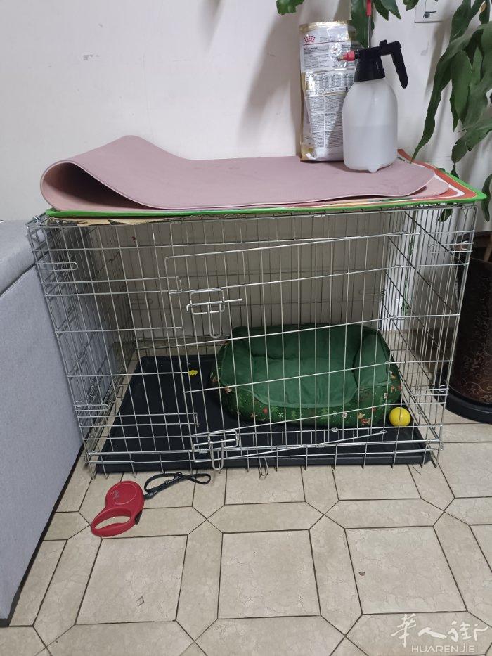 大狗笼有需要的联系
