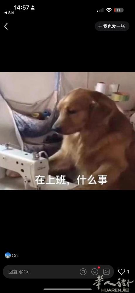 招聘女跑堂和寿司学徒 地点montecatini 跑堂要求会意大利语 有意者请联