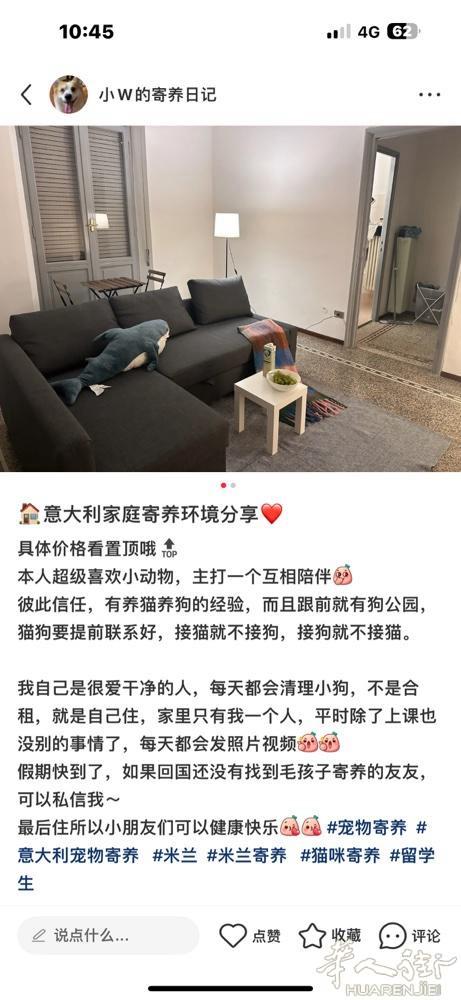 米兰靠谱寄养！免费上门到家 有需要寄养的朋友们可以看这里 环境好，负责认真，每天
