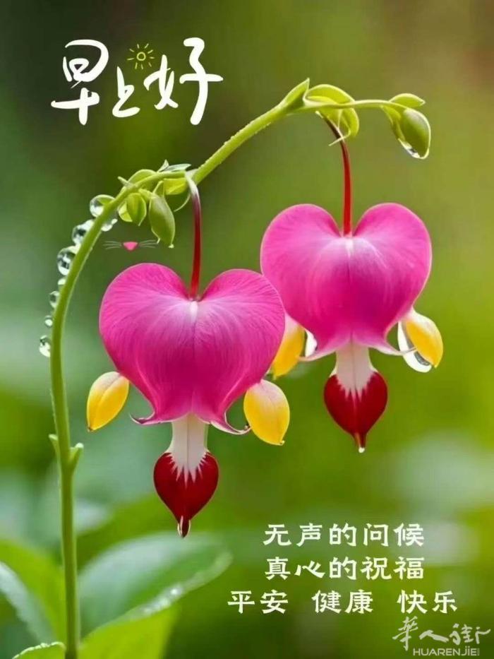 普拉托中国街公园有正规房间长期搭铺 男女不限，有电梯 ，卫生干净 ，377815