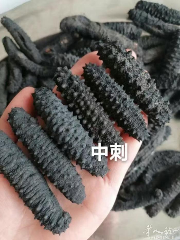 刺参、鱼胶、燕窝…有需要请联系～