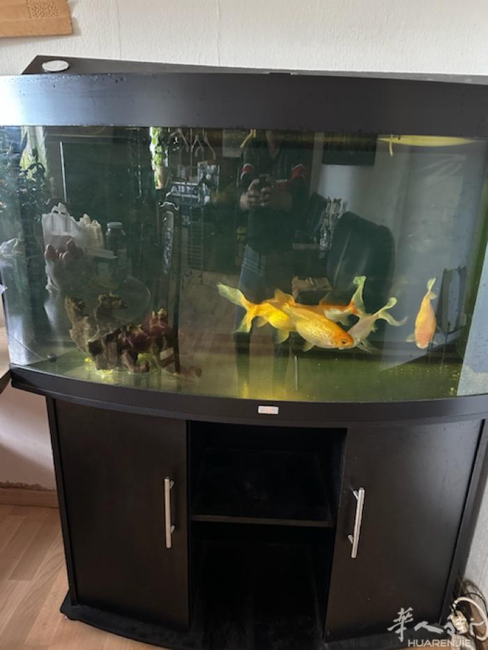 鱼缸出售尺寸120 X46高138￼