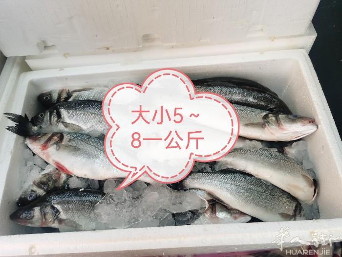 padova附近海鲜便宜又新鲜，有需要可以联系3778114393