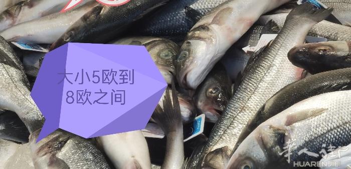 海鲜味出租车