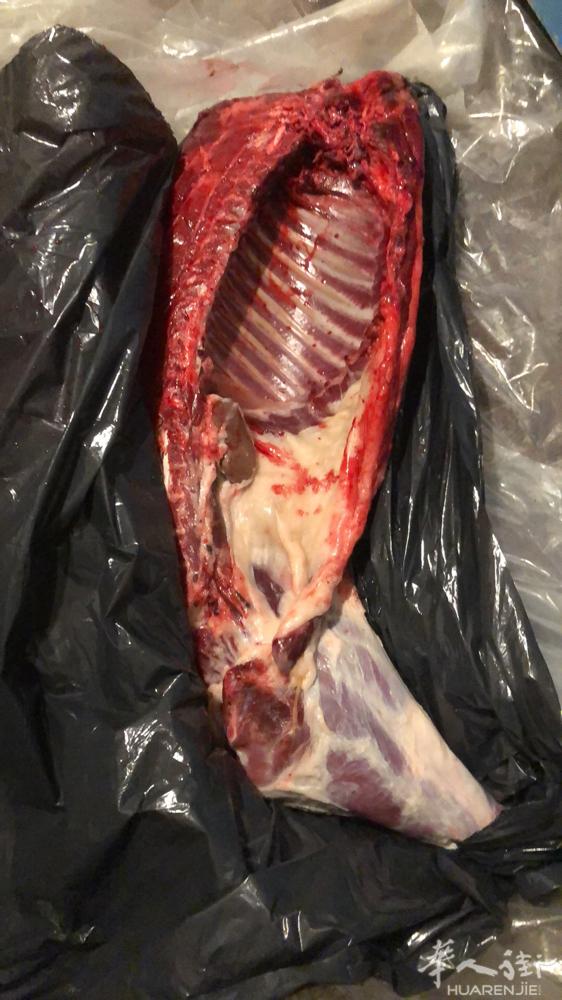 野猪🐗现在有。需要的可以联系。